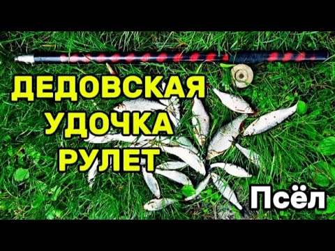 Видео: РЫБАЛКА НА ДЕДОВСКУЮ УДОЧКУ !!! | ПОПЛАВОК НА РЕКЕ ПСЁЛ !!! ЛЕТНЯЯ РЫБАЛКА !!!