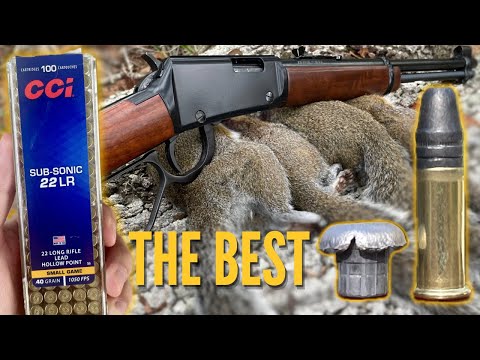 Видео: Дозвуковая охота на белку .22 с винтовкой Henry Lever Action