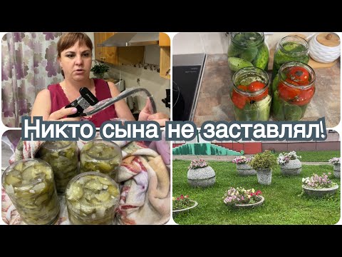 Видео: Мы сына не заставляли🤗 Перерабатываю огурцы🥒 Новый штатив🎦