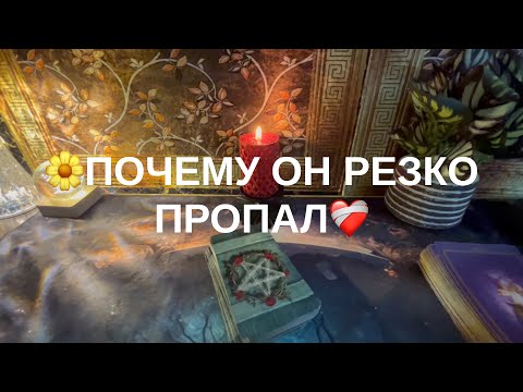 Видео: 9 ноября 2025 г.