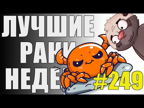 Видео: ЛРН выпуск №249 🤪 ПАТОВАЯ СИТУАЦИЯ и ЗАГАДКА от МЕДОЕДА [Лучшие Раки Недели]