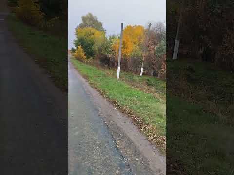 Видео: 8 жовтня 2025 р.