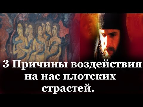 Видео: Три главные причины, по которым человека беспокоит всякое плотское искушение.Отец Андрей