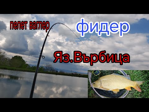 Видео: Яз.ВЪРБИЦА ,РИБИТЕ БЯХА ГОРЕ ! РИБОЛОВ НА ШАРАН И АМУР !