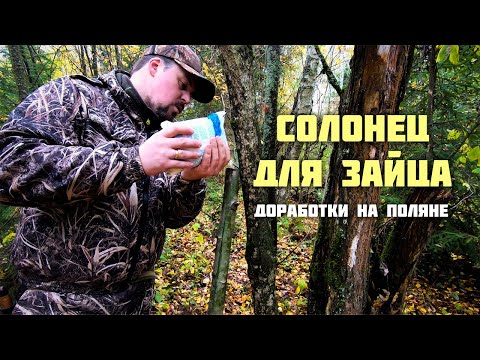 Видео: Солонец для зайца. Доработки на поляне.