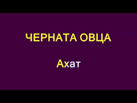 Видео: Черната овца Караоке без вокал