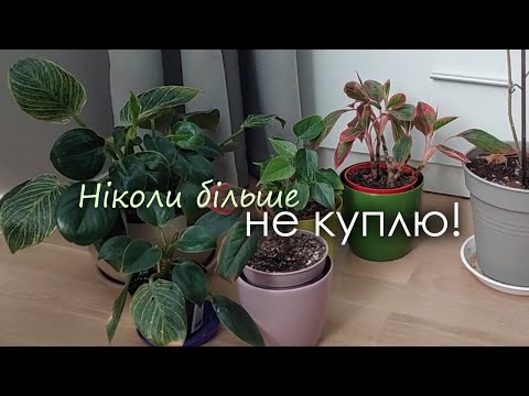 Видео: Ніколи більше не куплю! Квіти-розчарування. Які рослини більше не купуватиму.