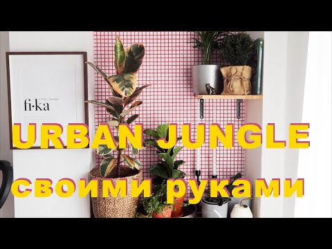 Видео: DIY | Дизайн-уголок URBAN JUNGLE | Рушим стереотипы