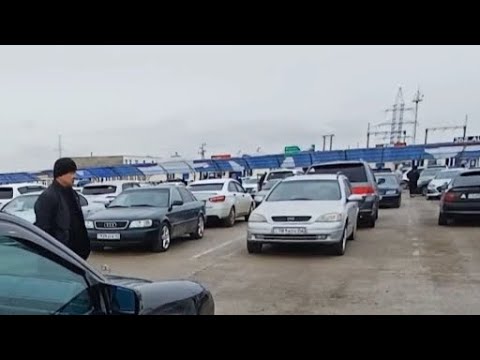 Видео: Машиналарға шолу Ақтау 3 февраль 2024