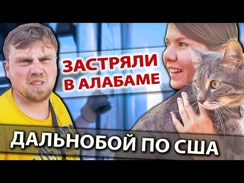 Видео: Семейный дальнобой по США с котом | Застряли без груза в Алабаме | Работа на фуре в Америке