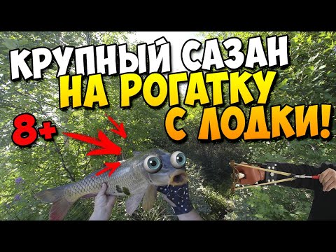 Видео: Сазан на рогатку с лодки! | Рыбалка с рогаткой и дротиками с лодки #27