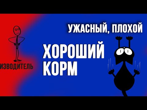 Видео: Чем кормить кота