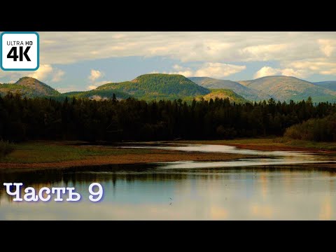 Видео: Путешествие о котором мечтает каждый рыбак(ч.9) | Изба в горах | Щука на каждый заброс | Юкола щука