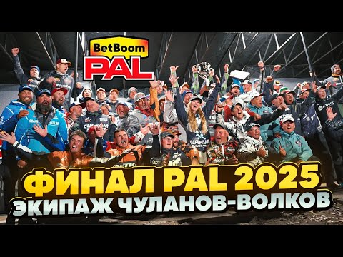 Видео: 3 тур 2 этап PAL 2025. Финал.