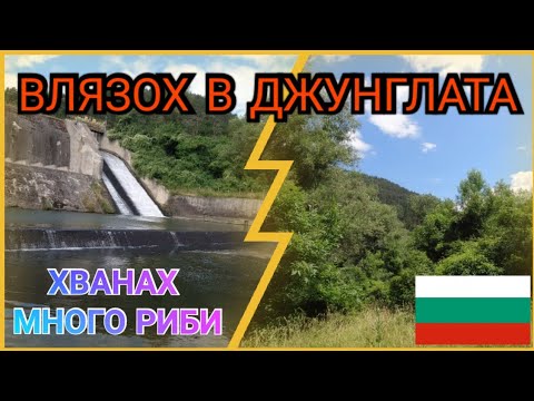Видео: р.ИСКЪР ПОД И НАД ПАНЧАРЕВО.РИБОЛОВ С БУЛДО И РЪЧНО НАПРАВЕНИ МУХИ.