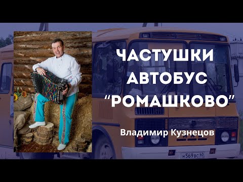 Видео: Частушки из автобуса "Ромашково" | Гармонист Владимир Кузнецов. Частушки под гармошку. Музыка.