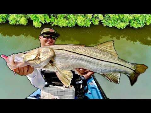 Видео: Ловля БОЛЬШОГО окуня и тарпона вдали от цивилизации!