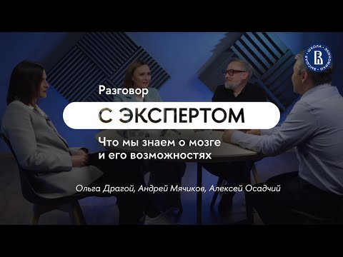 Видео: Что мы знаем о мозге и его возможностях // Ольга Драгой, Андрей Мячиков, Алексей Осадчий