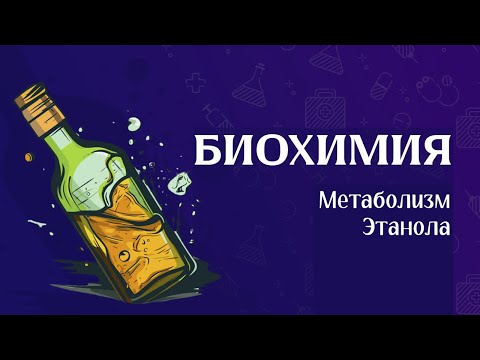 Видео: Биохимия | Метаболизм этанола