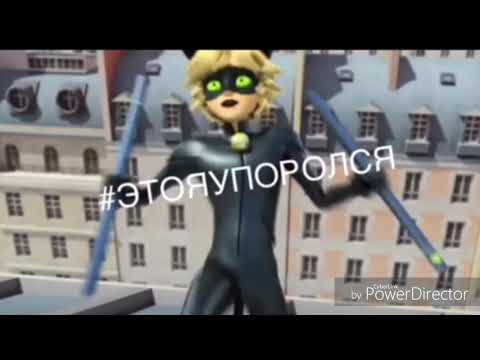 Видео: Лęди бãг и Супęр кõт~[Приколы™]