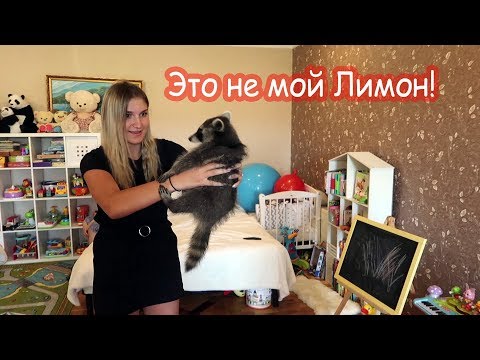 Видео: VLOG Реакция Алисы на папу и сестер, Насти на Лимона, Кати на Батона