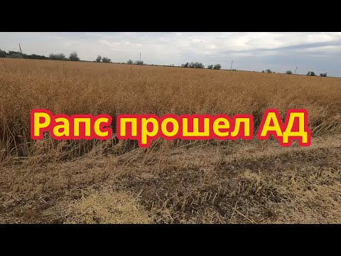 Видео: РАПС ПРОШЕЛ АД: Выжил в жару январе и мороз весной