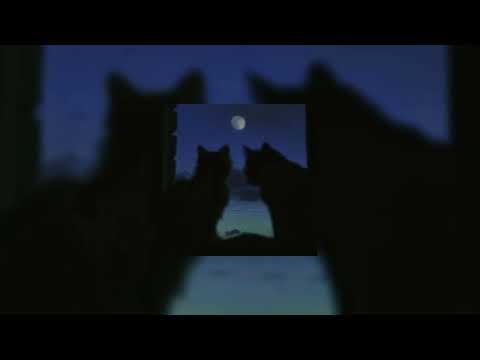 Видео: луч солнца золотого [speed up]