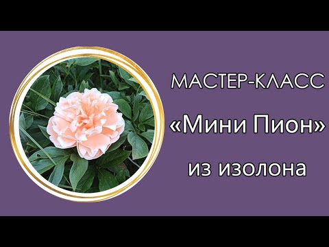 Видео: 🌸МИНИ ПИОН из изолона (Мастер-Класс 2021)