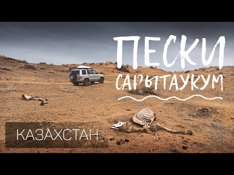 Видео: Пески Сарытаукум. Еду в пустыню, в Прибалхашье. Алматинская область. Казахстан.