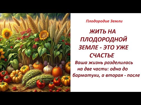 Видео: Большие урожаи на истощенной земле №582/24