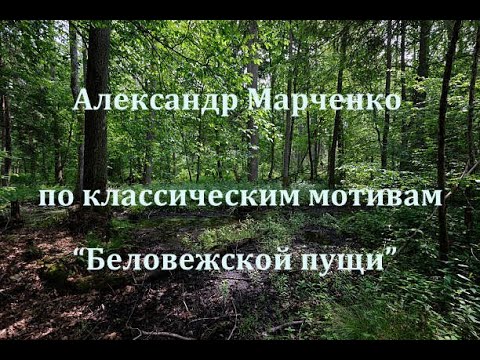 Видео: Александр Марченко по мотивам "БЕЛОВЕЖСКОЙ ПУЩИ"