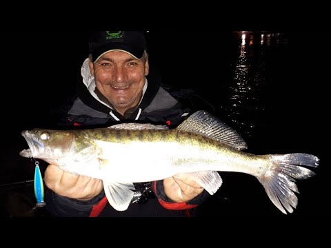 Видео: Ночной Судак. Duo Realis