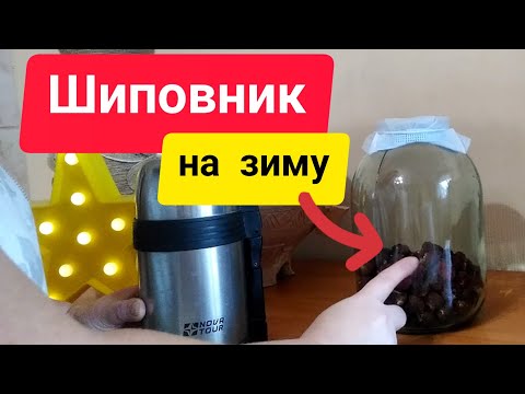 Видео: ⚫Шиповник | сбор сушка хранение | как заваривать шиповник