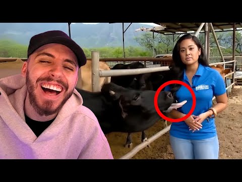 Видео: Самые смешные теленовости провалились! (Уморительно)