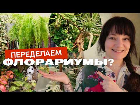 Видео: Переделываю флорариум-бегонариум и пропалываю флор с мокрицами изоподами