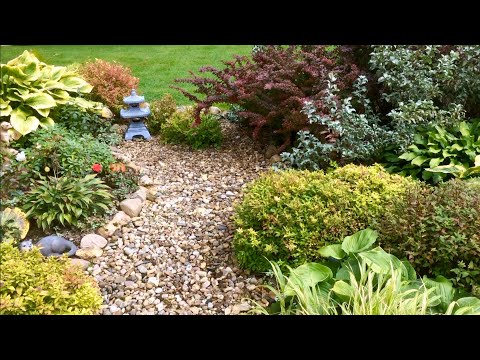 Видео: РАСТЕНИЯ В МИКСБОРДЕРЕ НАПРОТИВ ВЪЕЗДА. Сентябрь. ДАРМЕРА / ХОСТЫ / СПИРЕИ / БАРБАРИСЫ и др.