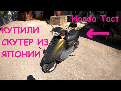 Видео: Как я подбирал скутер из Японии. Покупка Honda Tact 30.