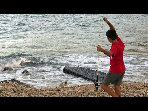 Видео: Кефалония и хищниците - част 1 / Predator fishing in Cephalonia - part 1
