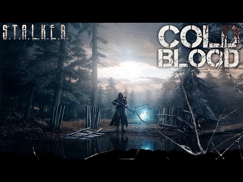 Видео: ● COLD BLOOD ● Прыжок в аномалию! — STALKER RP №1138