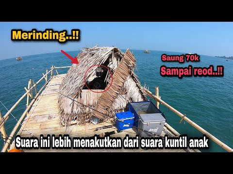 Видео: Настоящие мурашки..!! Надеюсь, с другими рыболовами этого не произойдет