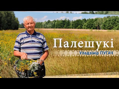 Видео: Новосёлки – край лесов и бескрайних лугов | Сбор ягод и лечебных трав