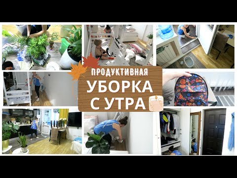 Видео: Эффективная Уборка всего Дома🔥Осенний СУББОТНИК 🐝ПОКУПКИ, ПЕРЕВАЛКА ЦВЕТОВ/Убирай со мной🙋‍♀️