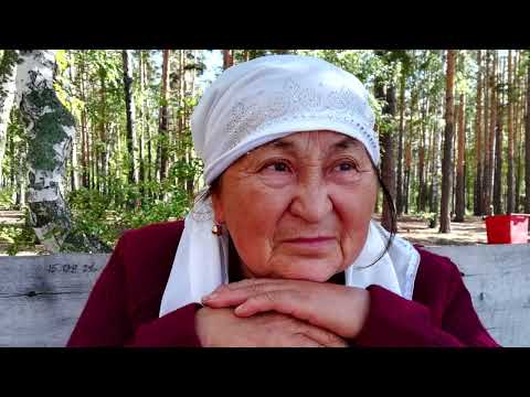 Видео: Ахау, арман...