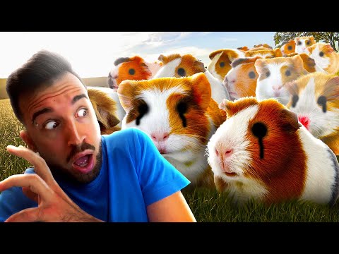 Видео: АТАКА 1000 МОРСКИХ СВИНОК