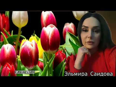 Видео: Эльмира Саидова