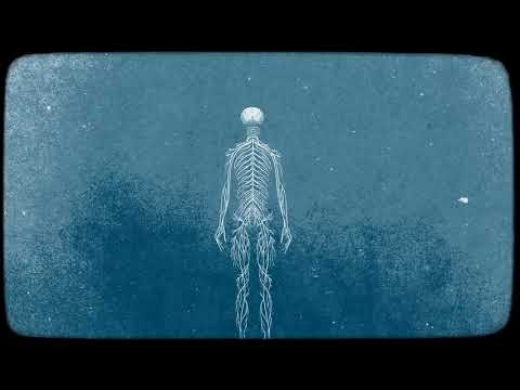 Видео: [общая семантика] разногласия.