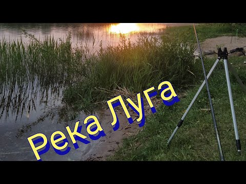 Видео: Рыбалка на реке Луга 2022
