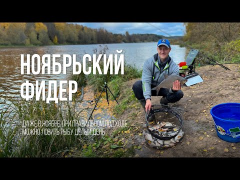 Видео: Фидер в ноябре - КЛЮЁТ ВЕСЬ ДЕНЬ! Секреты ловли подлещика на большой глубине