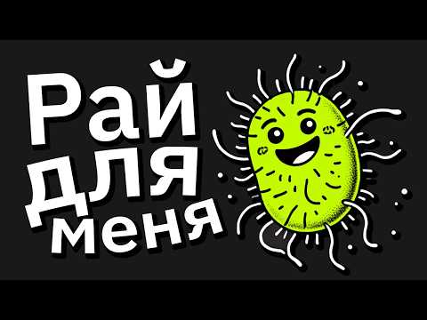 Видео: Самые НЕГИГИЕНИЧНЫЕ Вещи, Которые Вы Видели