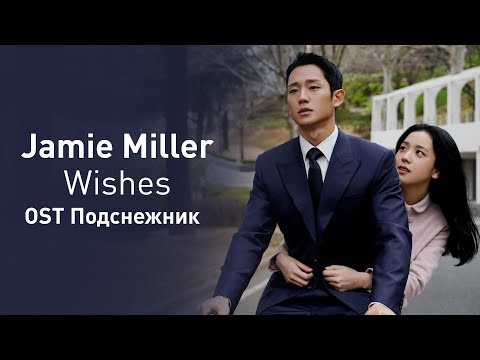 Видео: Jamie Miller - Wishes (OST Подснежник) (перевод на русский/кириллизация/текст)